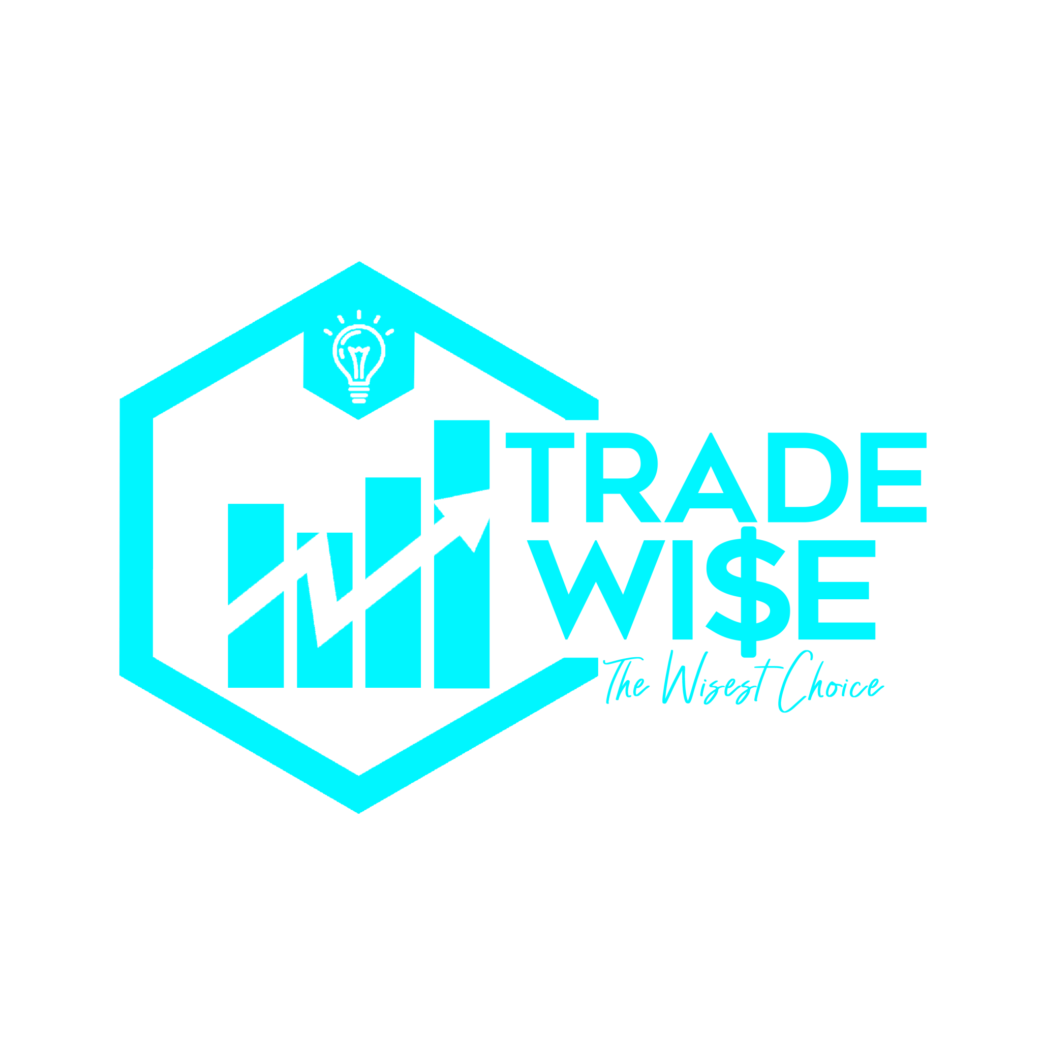 Trade Wise Logo